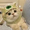 kittythechilcat