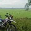 user7379066911237