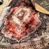 dan.carpet