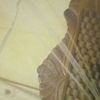 user9448114078558