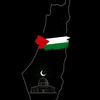 omar.ahmed9511