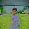 kashi.5203