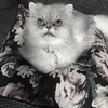 leylaleli90