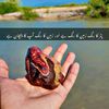 wadar.....baloch