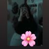 noni.ahmed8