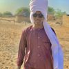 bediml235