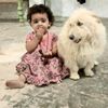 faizanbadshah835