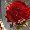 user2127930035198