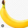 banana_789443