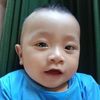 thanhthu5281
