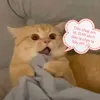 shusadgirl3