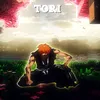 torieditstt