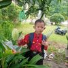 iis.sartika02arsa