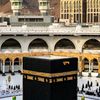 mahmoud.saady4