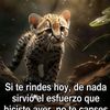 gavinogarcia73