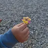 adam.rayan975