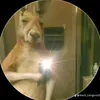 benja_prime4