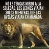 elizardo.rodrguez