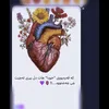 yalda2700