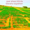 sacdiya630