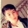 mahmoud13688595