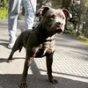 jamesj3718
