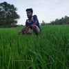 gobio53