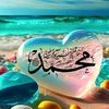 user53140943911906