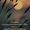 love_story_1994