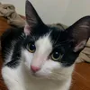 5cindyuyu5