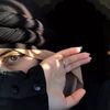 naqshanics2