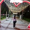 aigul_flower