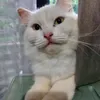aaleauqidhq