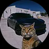 cyruzcortez4