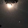 jillur.rahman1346
