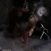 bagiettkaaa_pl