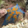 aquarium0316