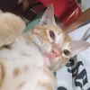 mwarvin.ac