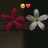 ishu___..page