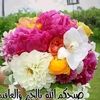 user5627530573628