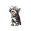 ilovemicatz