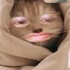 ykokyk