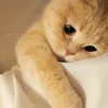 jjjjooojjjjjj