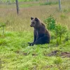 nickgroot12