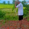 09664302509w.t.p