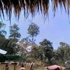 mulyatinajah7