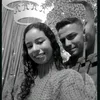 willianapolinari4
