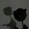 jawaid159