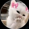 Ꮩᴏɪᴄe   Ö︎𝙵   —͞ŘIYA  友