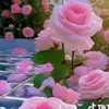 55__n.h